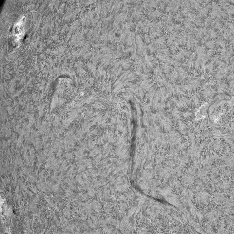 7月20日の太陽①（4149，4150）