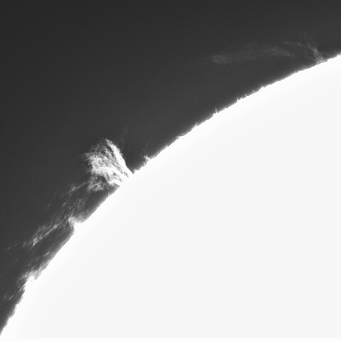 7月21日の太陽②（プロミネンス北東縁）