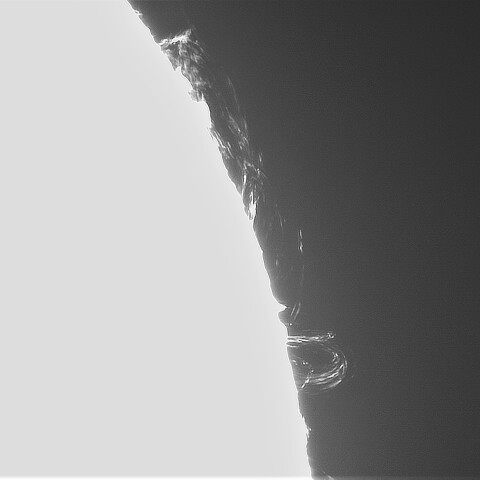 7月21日の太陽①（ループプロミネンス北西縁）