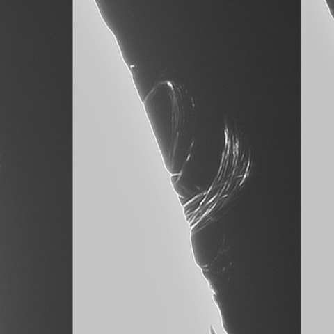 7月22日の太陽②（ループプロミネンス北西縁時間変化）