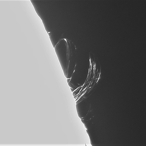 7月22日の太陽①（ループプロミネンス北西縁）