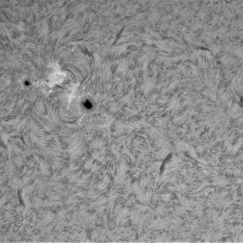 7月23日の太陽②（4149）