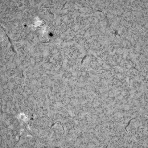 7月23日の太陽①（4149、4150）