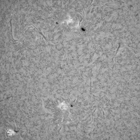 7月24日の太陽①（東半球）
