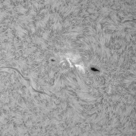 7月26日の太陽①（4149）