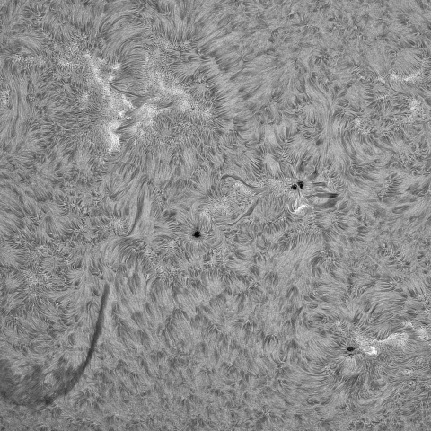 7月28日の太陽②（南東面）