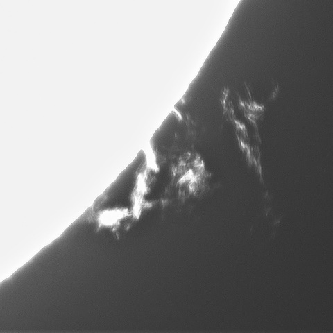 7月29日の太陽②（プロミネンス南西縁）