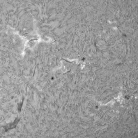 7月29日の太陽①（南半球）
