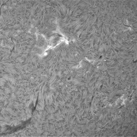 7月30日の太陽②（南西面）