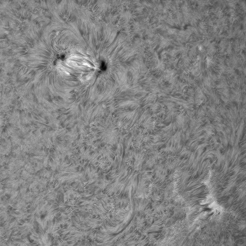 8月2日の太陽➂（4167,4155）