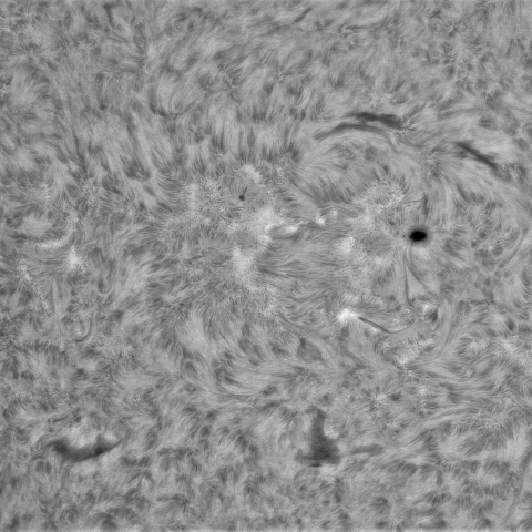 8月2日の太陽②（4161）