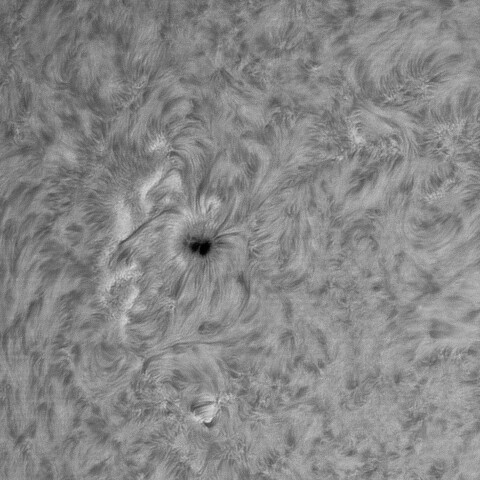 8月2日の太陽①（4165）