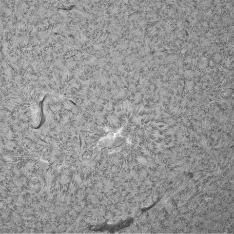 8月16日の太陽①（南半球）