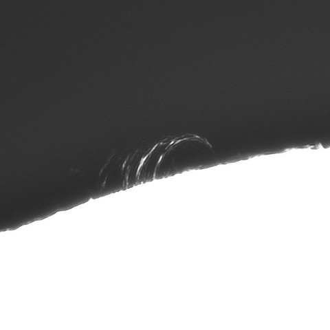 ８月１９日の太陽➃（ポストフレアループXLⅡ）