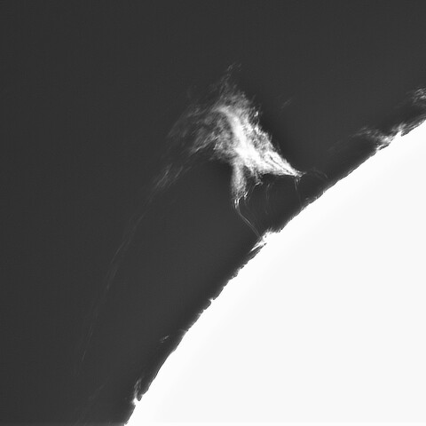 ８月１９日の太陽➂（プロミネンス北東縁）