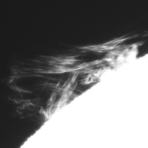 ８月19日の太陽①（プロミネンス南東縁　90度右回転）