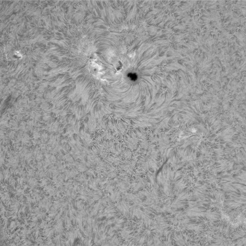 ８月25日の太陽②（4191，4188）