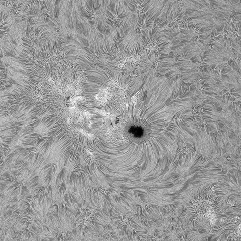 ８月26日の太陽②（4191正面）