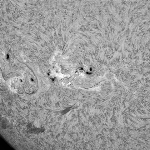 ８月28日の太陽②（南東面）