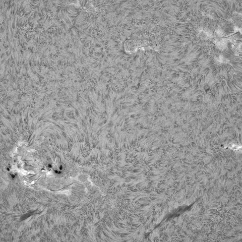 ８月28日の太陽①（南面）