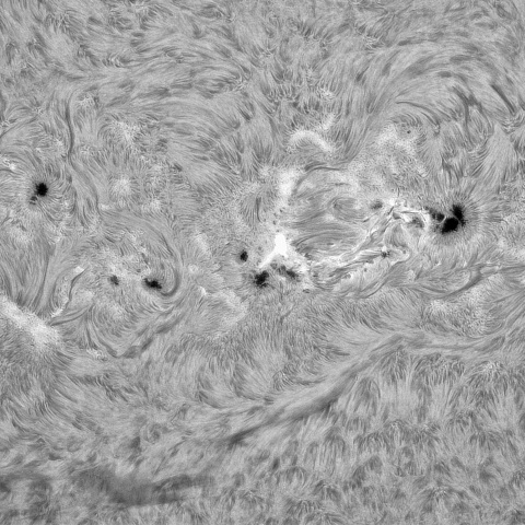 ８月30日の太陽①（4202，4201，4197，4196）