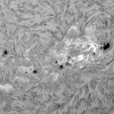 ８月31日の太陽①（4202，4201，4197，4196）