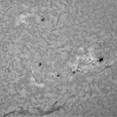 ８月31日の太陽①（4199，4202，4201，4197）