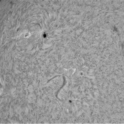 9月2日の太陽①（4207，4206，4205）