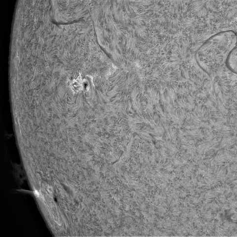 9月3日の太陽➂（南東面）