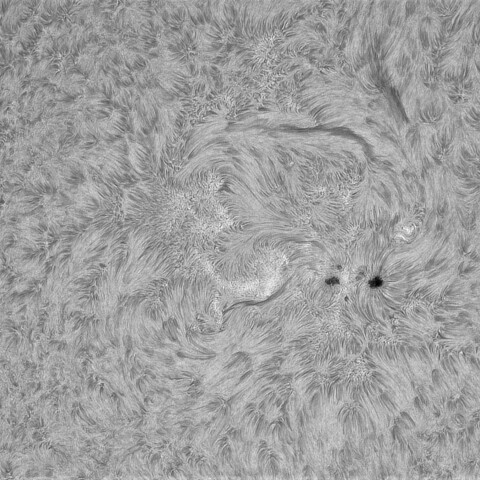 9月16日の太陽➂（4221，4216）