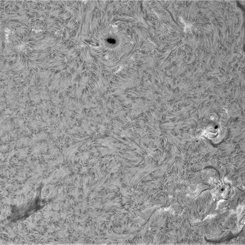 9月24日の太②（南西面）