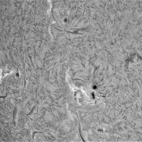 9月24日の太①（南東面）