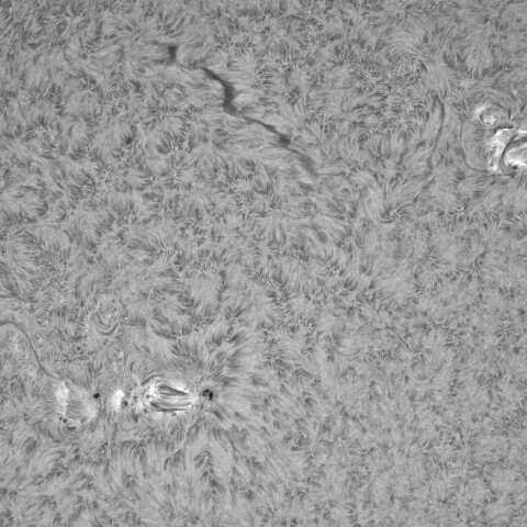 10月12日の太陽②（4250，4248，4246）