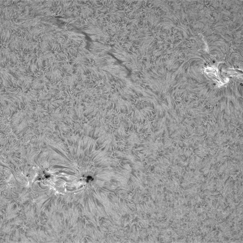 10月13日の太陽①（4250,4248,4246）