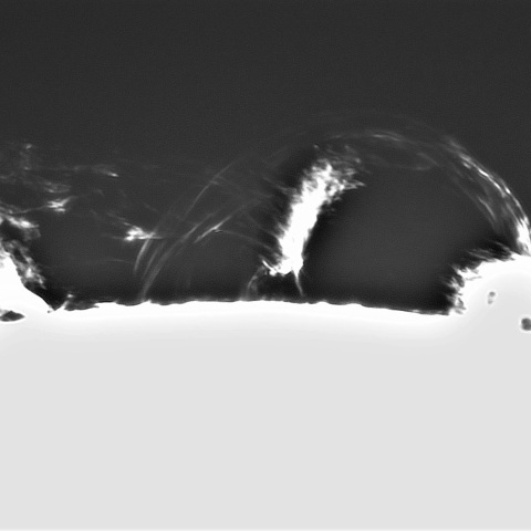 10月17日の太陽②（プロミネンス 西縁）