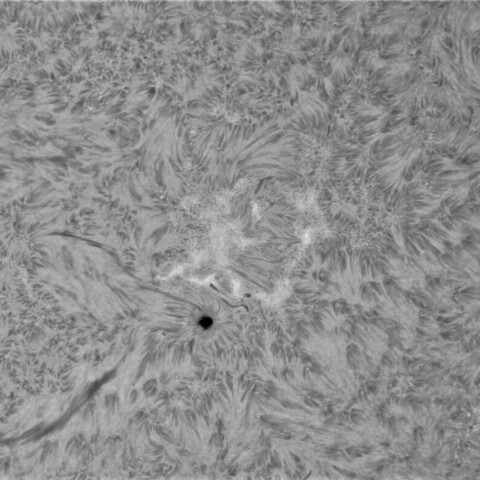 10月29日の太陽①(4267正面)
