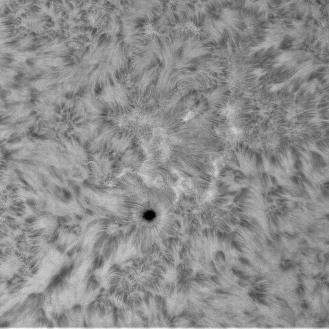 10月30日の太陽①（4267）