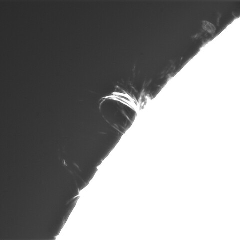 11月1日の太陽①（ポストフレアループXLⅤ）