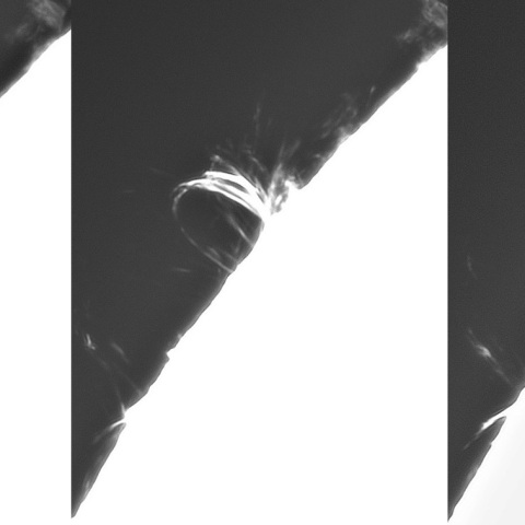 11月1日の太陽①(ポストフレアループXLⅤ時間変化)