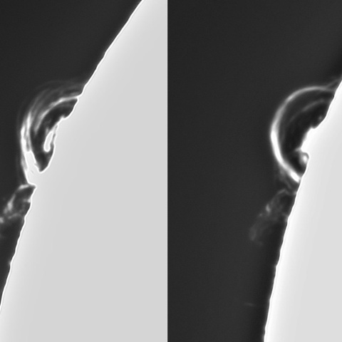 11月3日の太陽②(ポストフレアループXLⅥ時間変化)