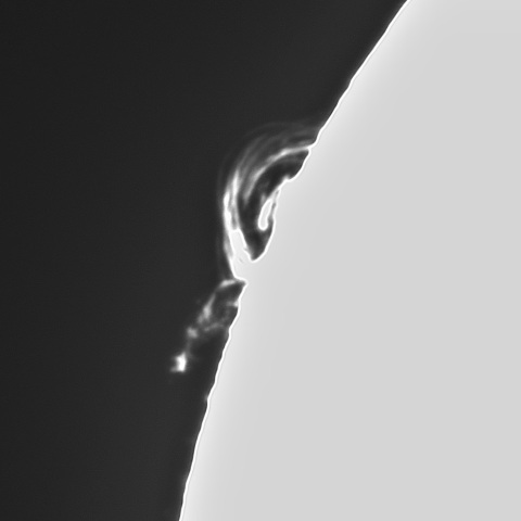 11月3日の太陽①(ポストフレアループXLⅥ)