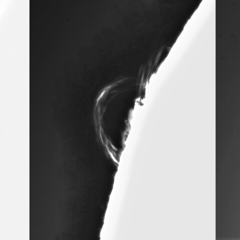 11月4日の太陽②(ループプロミネンス4274時間変化)