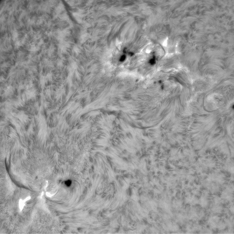 11月6日の太陽①（4274、4272、4275）