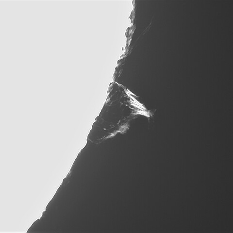 11月8日の太陽②（プロミネンス南西縁）