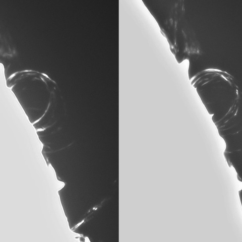 11月16日の太陽②(ポストフレアループXLⅦ 時間変化)