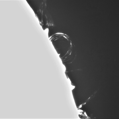 11月16日の太陽①(ポストフレアループXLⅦ 4274)