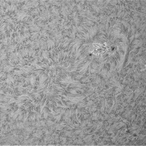 11月19日の太陽①(4284)
