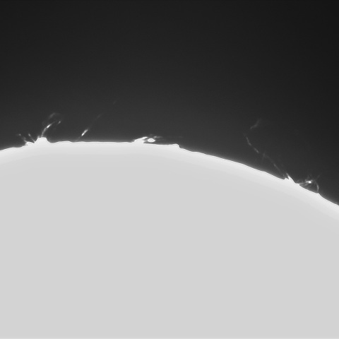 11月21日の太陽①（東縁）