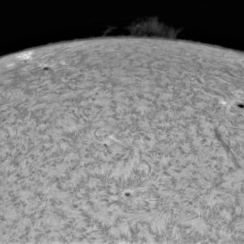 11月22日の太陽①（東面）