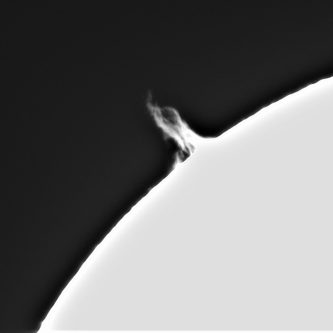 11月26の太陽①（プロミネンス北東縁）